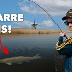 ***VIDEO*** Deze GROTE VIS hadden wij NOOIT VERWACHT! – Alles over VISSEN OP ROOFBLEI