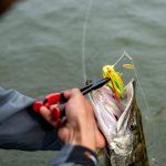 Spinnerbaits – Dé troef na de seizoensstart!