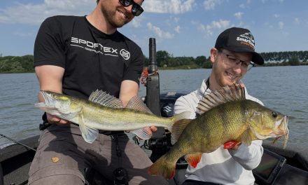 Spinnerbaits hot, op chatterbaits niks – Daarna precies andersom!><span class=