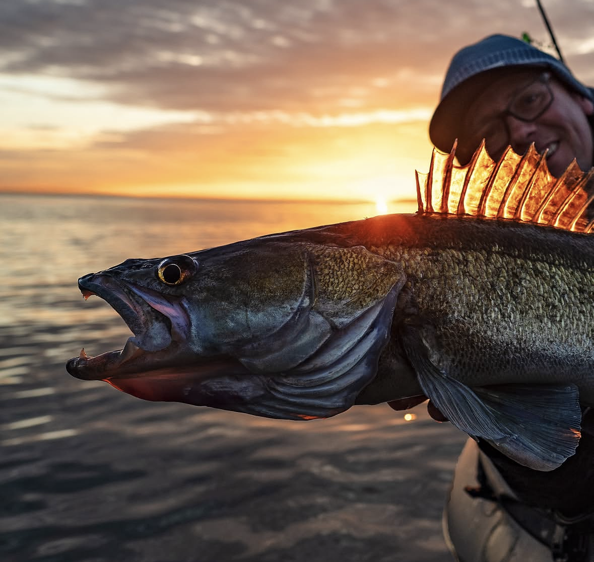 Van voorn tot baars – De levensechte Daiwa Prorex softbaits!
