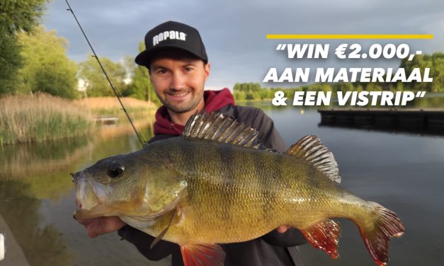 Rapala CrushCity Challenge – Maak kans op te gekke prijzen!