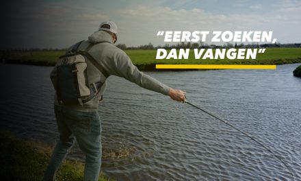 Dit kunstaas vertelt meer dan dat het vangt!><span class=