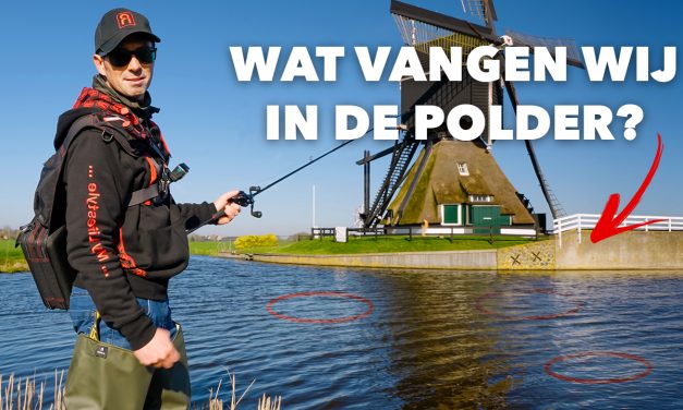 ***VIDEO*** Veel AANBETEN en GROTE SNOEKEN in deze HOLLANDSE POLDER!
