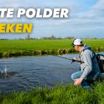 ***VIDEO*** IN DEZE POLDER ZITTEN HELE GROTE SNOEKEN!