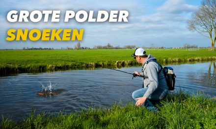 ***VIDEO*** IN DEZE POLDER ZITTEN HELE GROTE SNOEKEN!><span class=