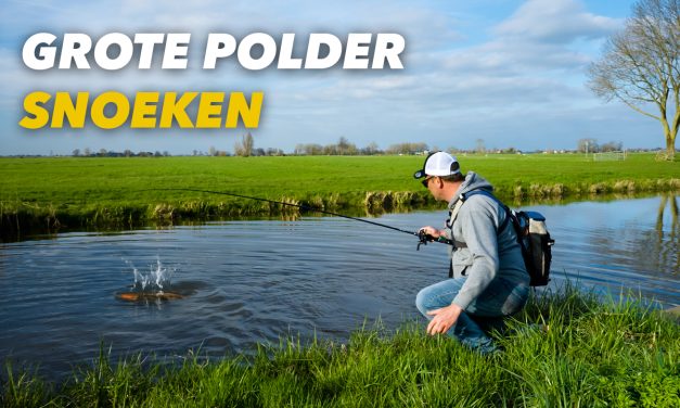 ***VIDEO*** IN DEZE POLDER ZITTEN HELE GROTE SNOEKEN!