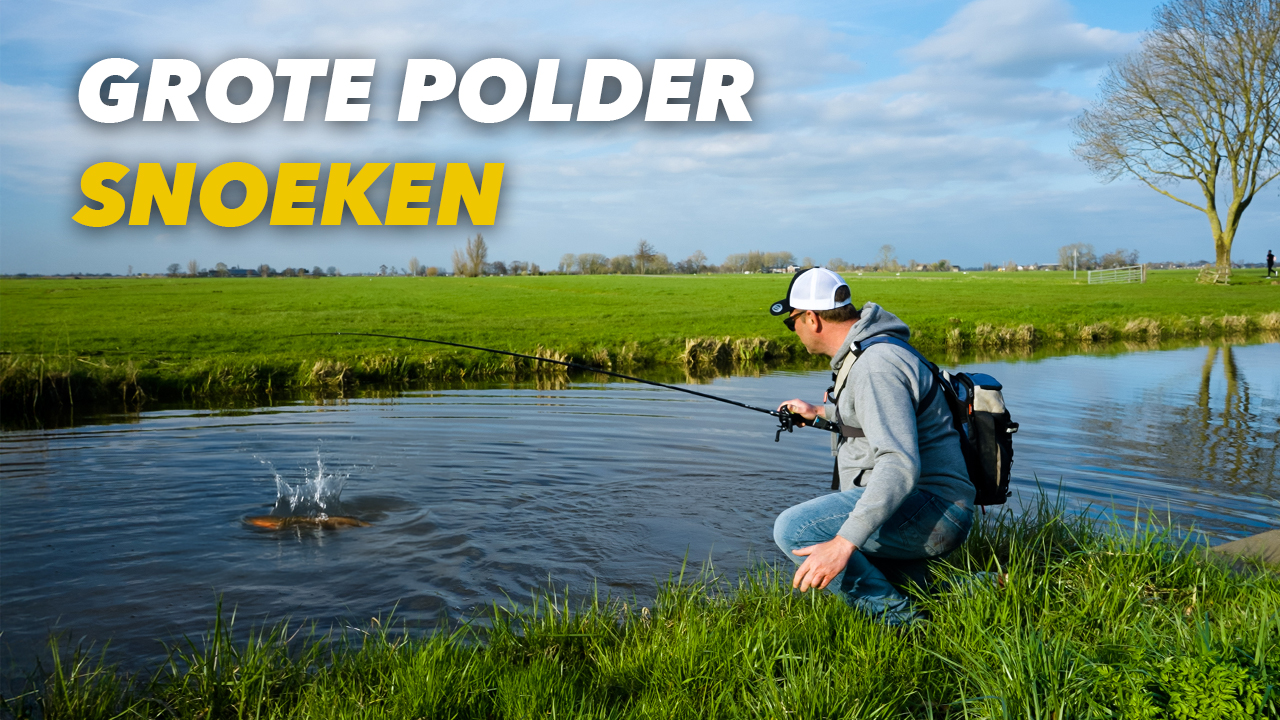 ***VIDEO*** IN DEZE POLDER ZITTEN HELE GROTE SNOEKEN!