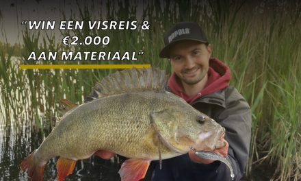 Rapala CrushCity Challenge – Maak kans op te gekke prijzen!><span class=