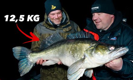 ***VIDEO*** Dit Meer in Finland Zit VOL met MEGA Snoekbaarzen!><span class=