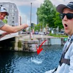 ***VIDEO*** Jackpot in de havens van Antwerpen!