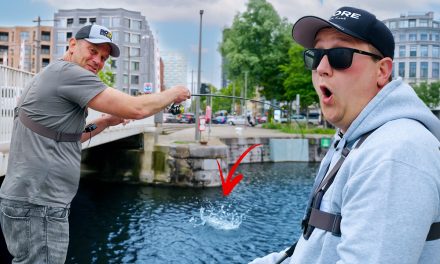 ***VIDEO*** Jackpot in de havens van Antwerpen!><span class=