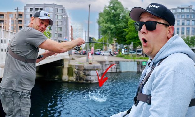 ***VIDEO*** Jackpot in de havens van Antwerpen!