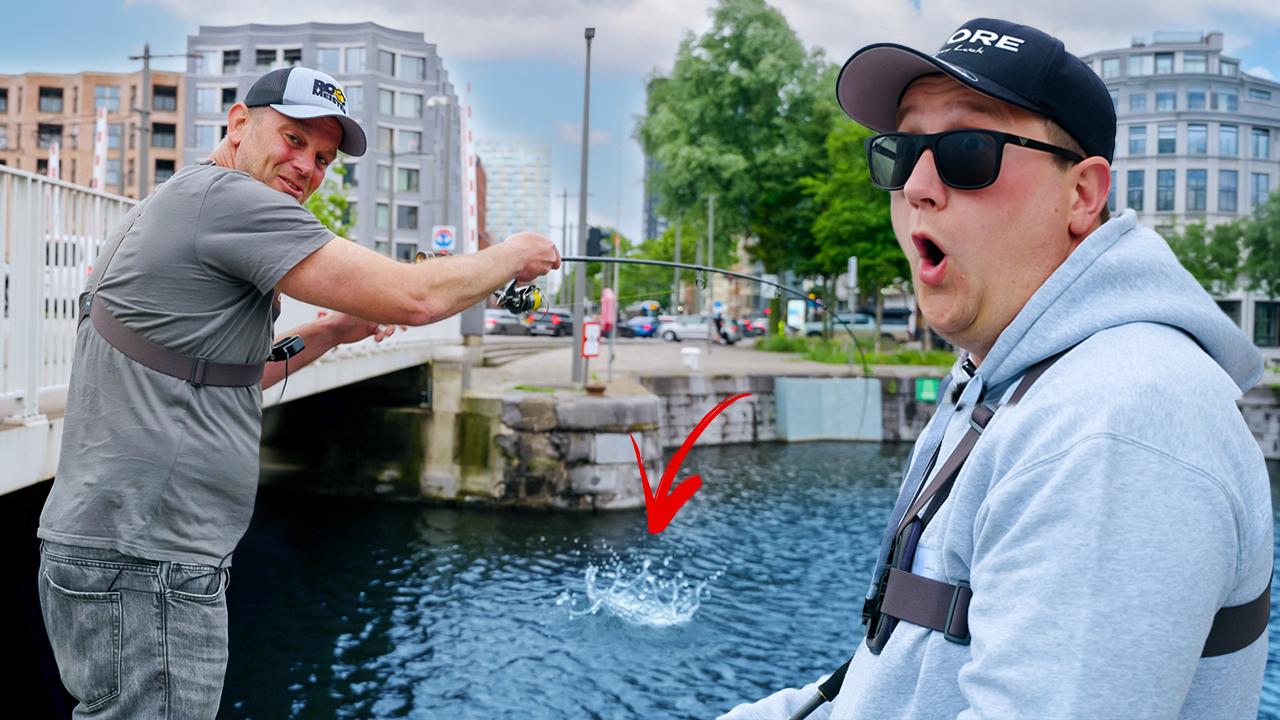 ***VIDEO*** Jackpot in de havens van Antwerpen!