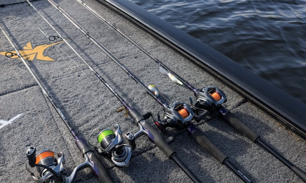 Van travel tot high-end: deze Daiwa hengels springen eruit!