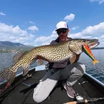 Topwaters, big mama’s en nieuwe kleuren