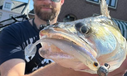 Verplicht kunstaas met streetfishing!><span class=