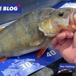 Yamaha Pro Fishing Cup 2026 – Volg hier alles LIVE
