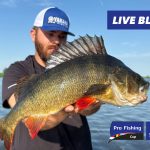 Yamaha Pro Fishing Cup 2026 – Volg hier alles LIVE