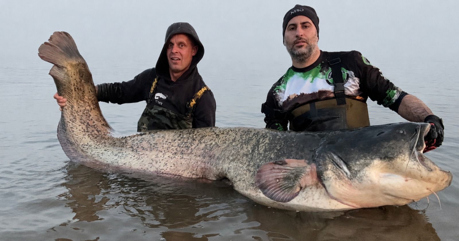 *** BREAKING *** Nieuw Nederlands record meerval!