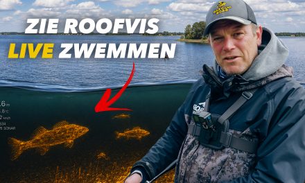***VIDEO*** ZO ZIE JE ALLE ROOFVISSEN ZWEMMEN EN VANG JE GROTE VISSEN!><span class=