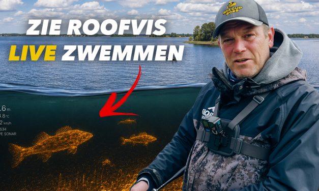 ***VIDEO*** ZO ZIE JE ALLE ROOFVISSEN ZWEMMEN EN VANG JE GROTE VISSEN!