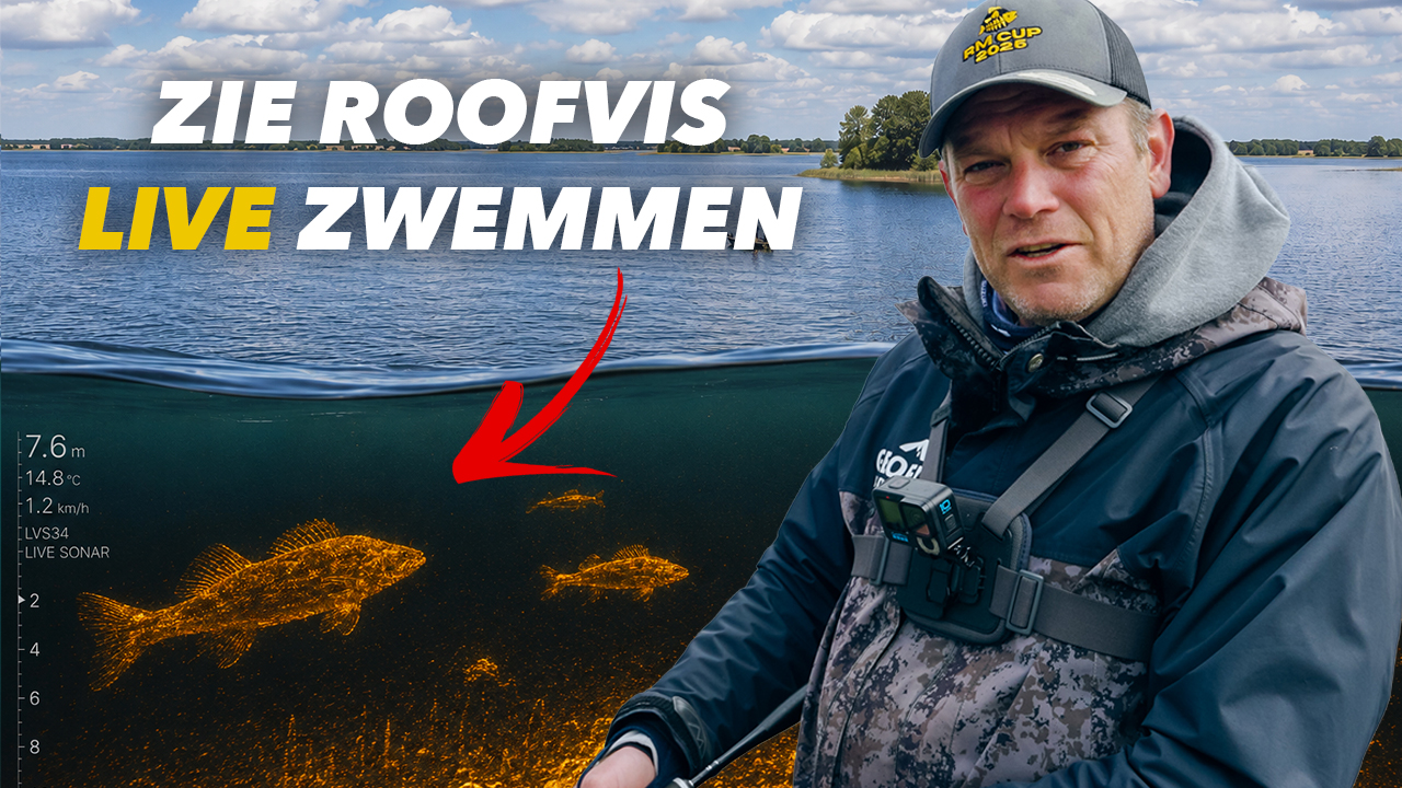 ***VIDEO*** ZO ZIE JE ALLE ROOFVISSEN ZWEMMEN EN VANG JE GROTE VISSEN!
