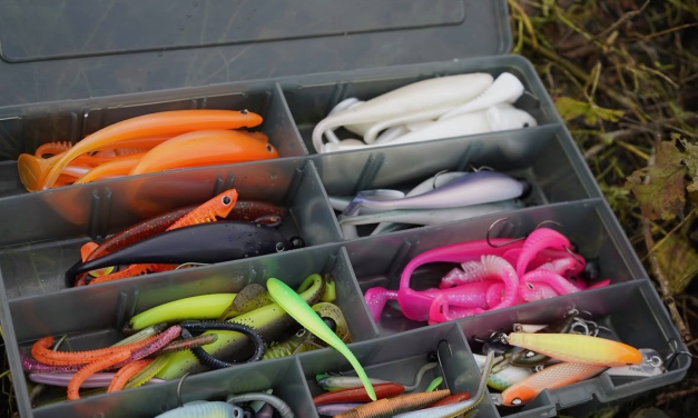 Perfect kunstaas voor finesse visserijen en Streetfishing