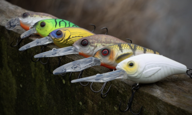 Nieuwe Westin Releases: Van slimme crankbaits tot legendarische MonsterFly