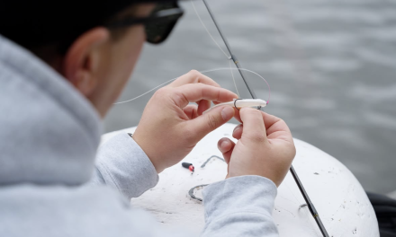 Carolina rig: waarom deze subtiele montage zo ontzettend veel roofvis oplevert!><span class=