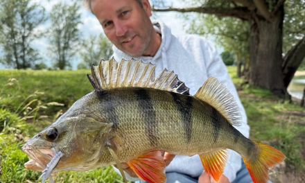 Deze softbaits tillen jouw finesse visserij deze zomer naar een hoger niveau!><span class=