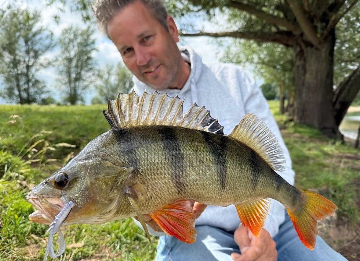 Deze softbaits tillen jouw finesse visserij deze zomer naar een hoger niveau!