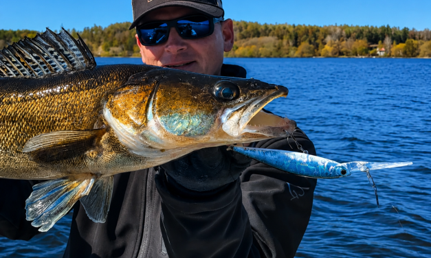 Van crankbait tot topwater: ontdek de kracht van Lucky Craft!
