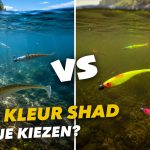 ***VIDEO*** Wij hadden NIET VERWACHT dat DEZE KLEUR meer SNOEKBAARS VANGT!