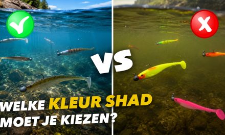 ***VIDEO*** Wij hadden NIET VERWACHT dat DEZE KLEUR meer SNOEKBAARS VANGT!><span class=