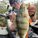 Waarom een spinnerbait absoluut niet mag ontbreken in jouw tacklebox!