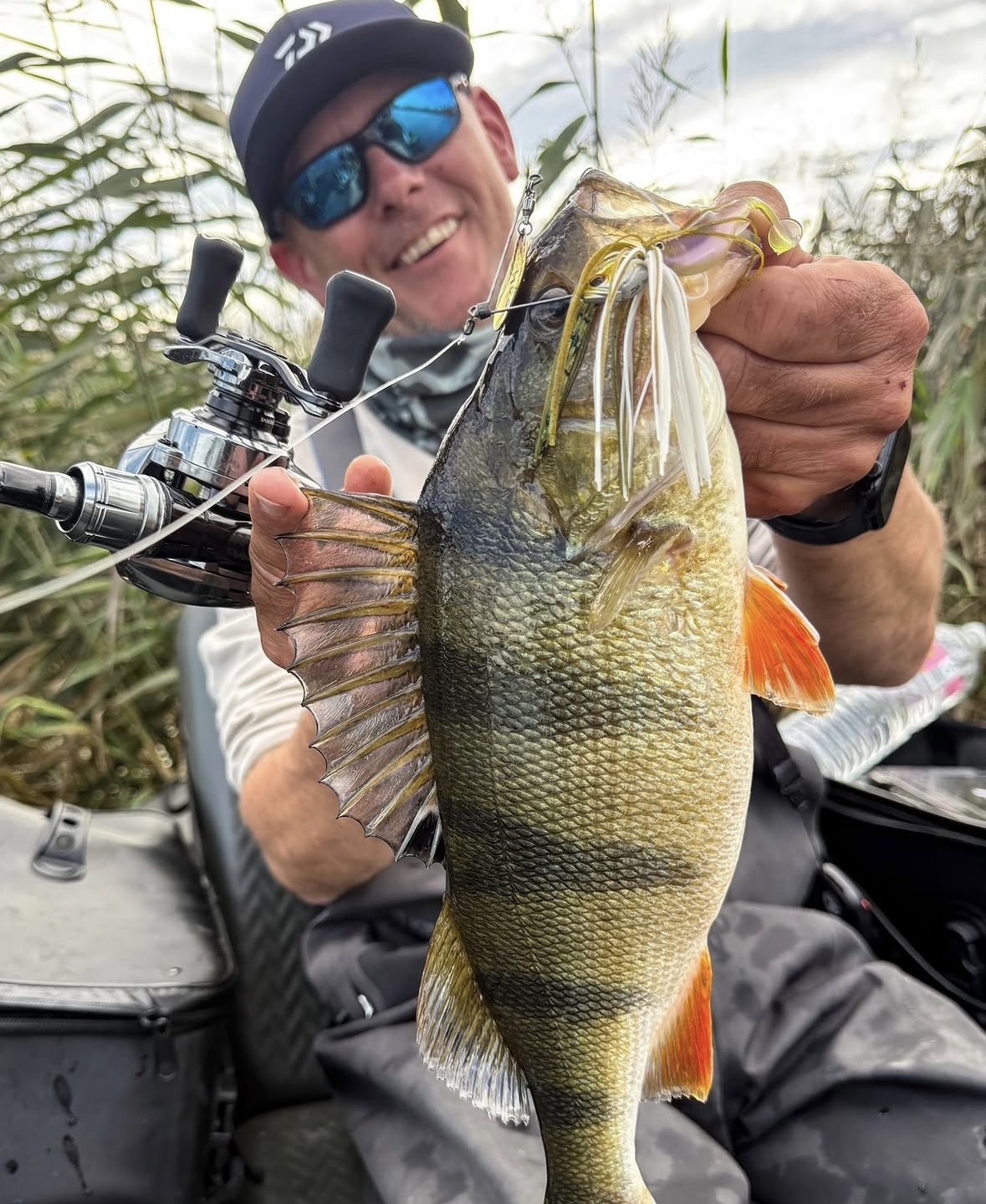 Waarom een spinnerbait absoluut niet mag ontbreken in jouw tacklebox!
