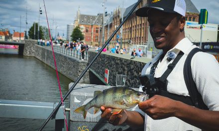 100 vissen tijdens een visdag in Amsterdam!><span class=