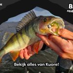 KUORE is weer volop leverbaar bij DeRoofvisser.com!