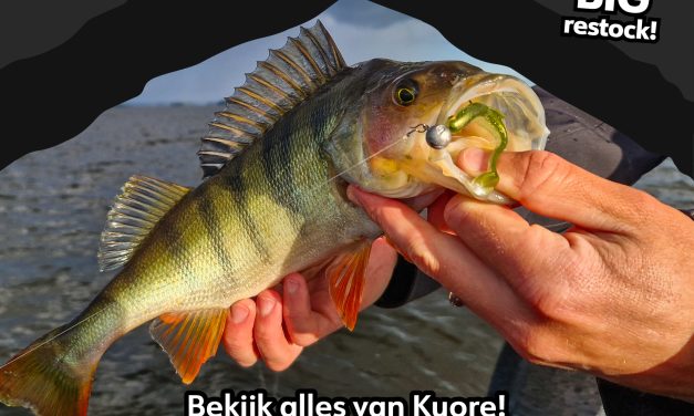 KUORE is weer volop leverbaar bij DeRoofvisser.com!