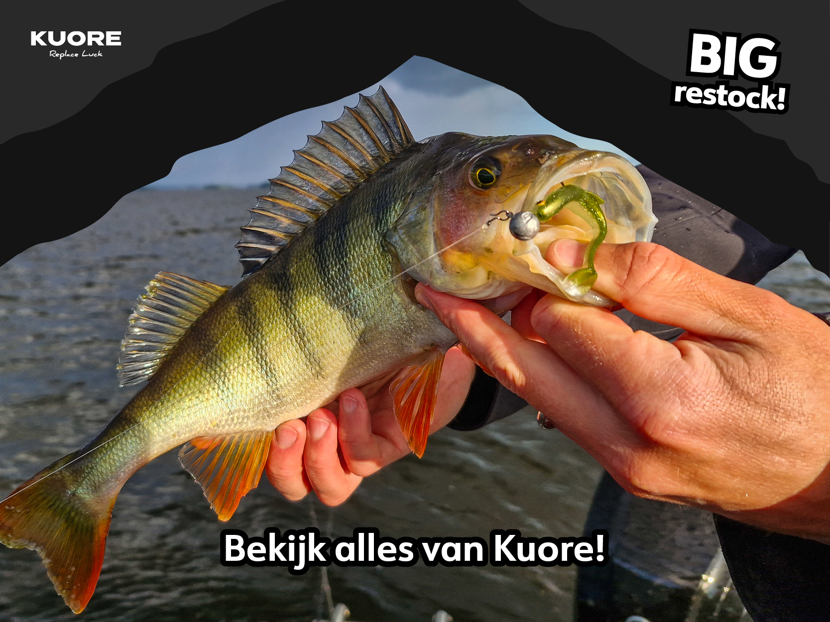 KUORE is weer volop leverbaar bij DeRoofvisser.com!