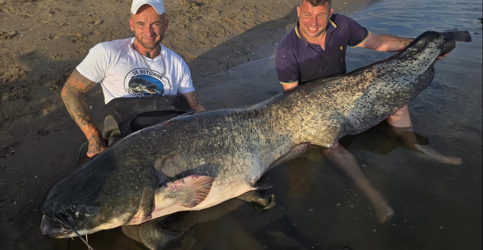 *** BREAKING *** Nieuw Nederlands record meerval gaat over de 250 cm!