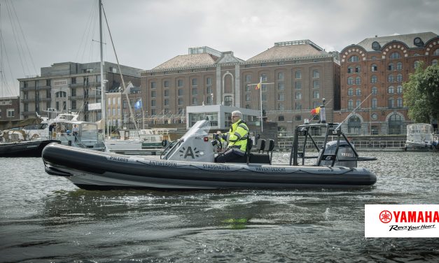 GENIAAL: Elektrisch als het kan, benzine als het moet!