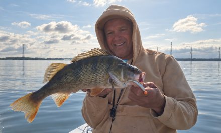 Bak van de Maand – Een ongekende snoekbaars van 101 cm en grote baarzen die domineren!><span class=