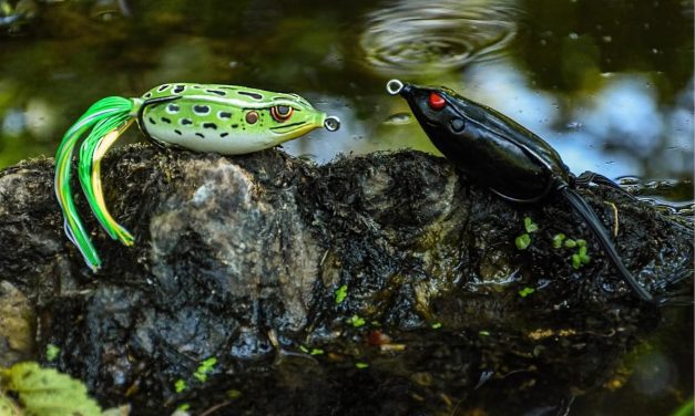 Snoek is gek op kikkers!