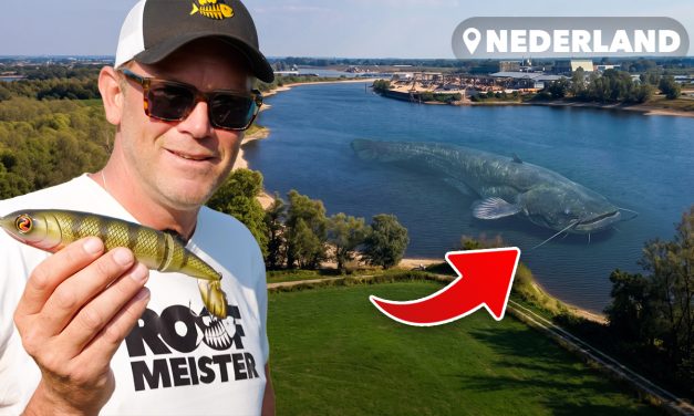 ***VIDEO*** VANGEN WIJ EEN 2 METER + MEERVAL OP EEN TOPWATER?!