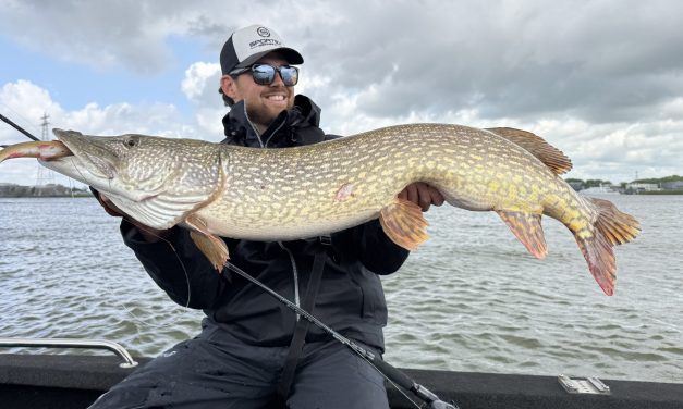 Snoekseizoen van start! Met deze drie Sportex hengels zit je goed