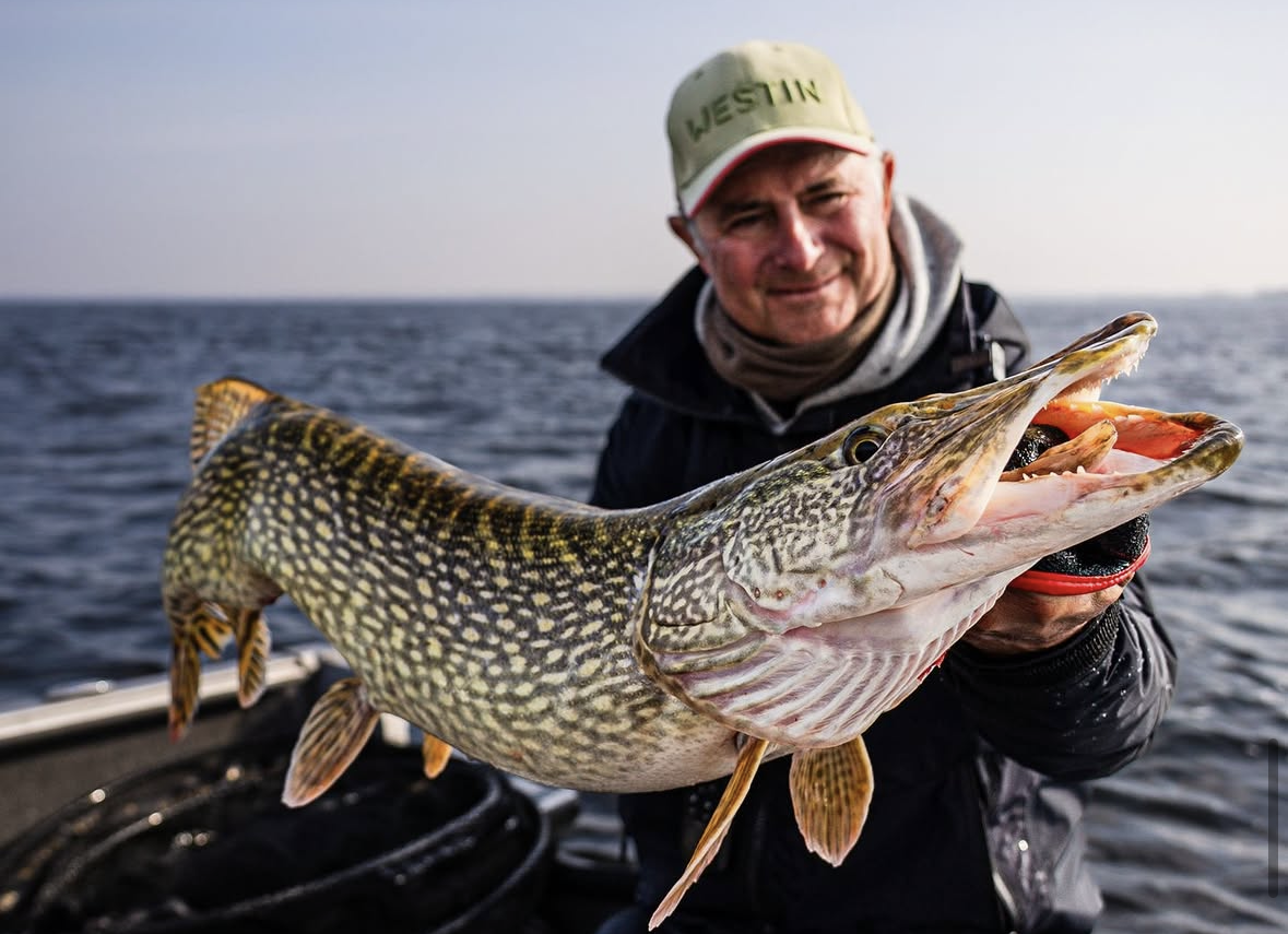 Het perfecte snoek kunstaas voor deze herfst!
