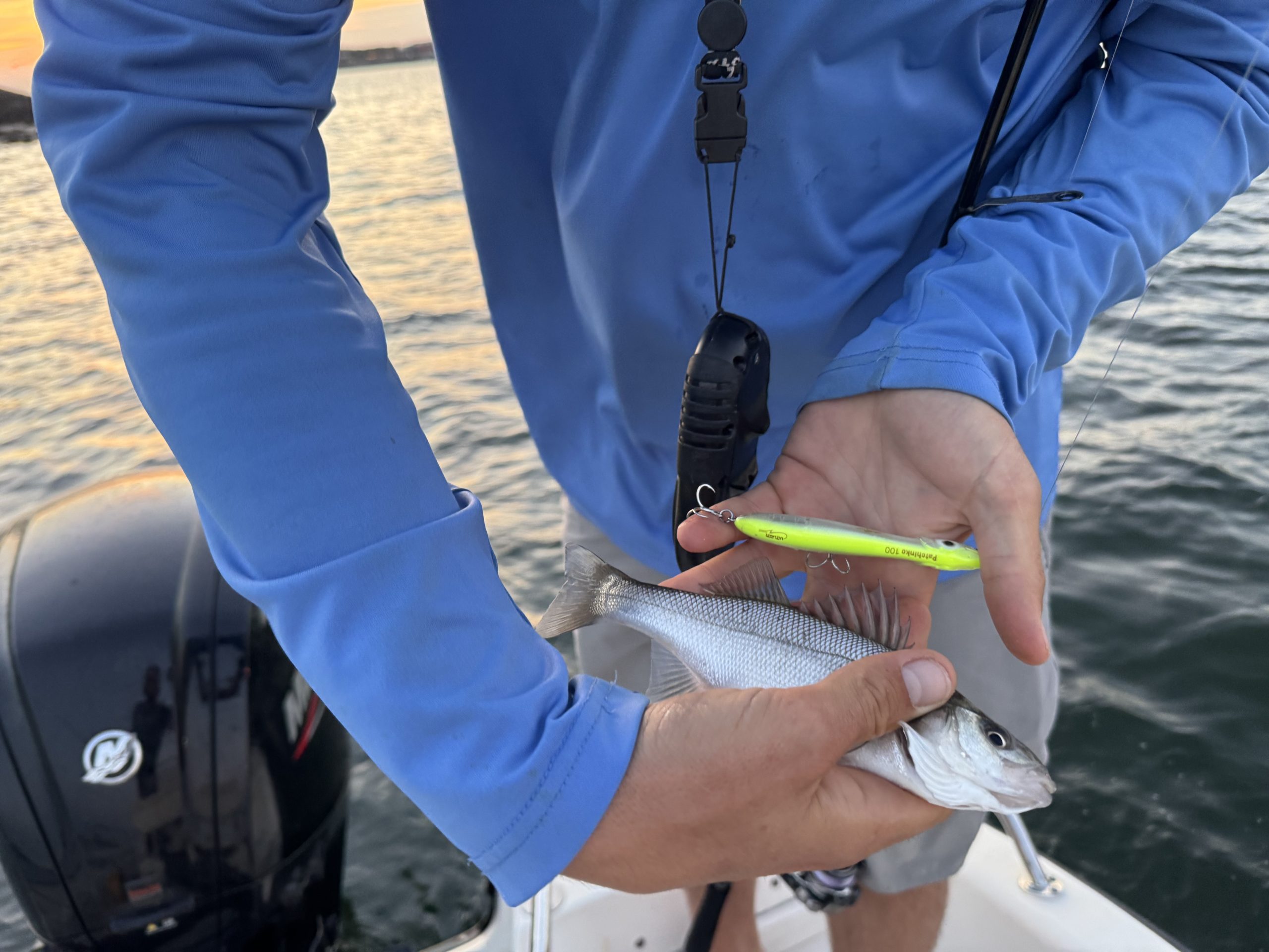 De eerste keer zeebaarzen vangen en dat op topwaters!