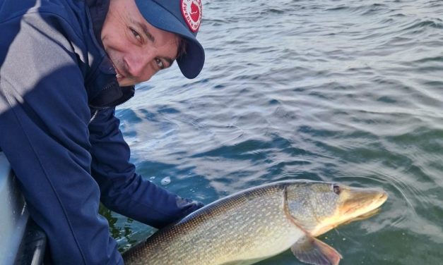 Bak van de Maand – Mega dikke snoeken tot 127 cm!!!