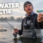 ***VIDEO*** Roofblei en baars op topwaters – Zo doe je dat!